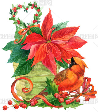 Christmas bird with watercolor winter Christmas background. watercolor illustration