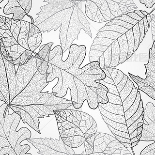 Autumn transparent maple lees pattern background. Black and white art autumn lees pattern. Fabri