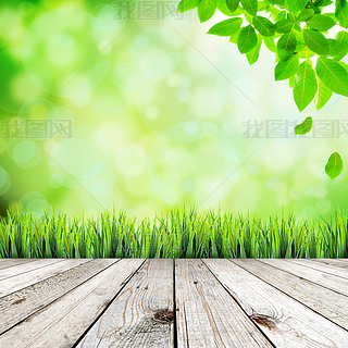 Green natural abstract background