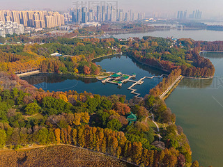 Aerial photography scenery of Tingtao Scenic Area in East Lake, Wuhan, Hubei in late autumn