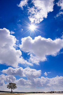 冬天的天空摄影图|孤独的树对天空与云和太阳隐藏在冬天