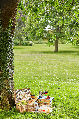 Summertime picnic for two in a lush green park with a vintage style wicker picnic hamper, French bag