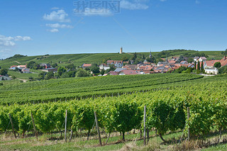 Rhineland Palatinate RhinehessenѾVendersheimѾƴ