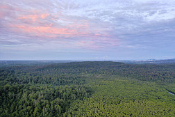 在马来西亚沙巴婆罗洲，空中俯瞰热带红树林和河流的绿色景观。 可持续和生物多样性红树林保护区.