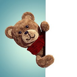 泰迪熊控股空白页