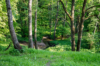 The view from the hill on a winding stream among the forest. Repinka river in Obninsk, Russia