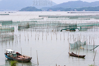 Crab farming in Xiapu County, China