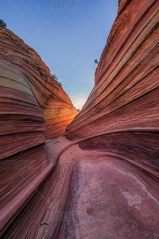 ΣɣݣϿҲ㡣Vermillion CliffsParia Canyon State Park.