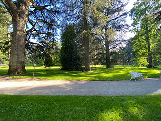 Arboretum (Tree Collection or Baumsammlung), (Flower Island Mainau on the Lake Constance or Die Blum