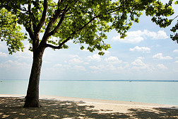Blaton 湖的夏天风景, 匈牙利, 欧洲