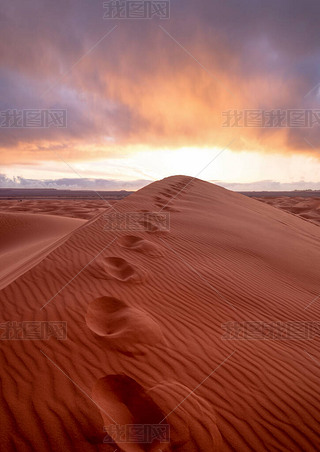 ɳĮеȫλĦMerzougaɳĮDunes Erg Chebbi ɳ̲