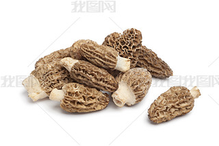 Fresh raw Morel mushrooms