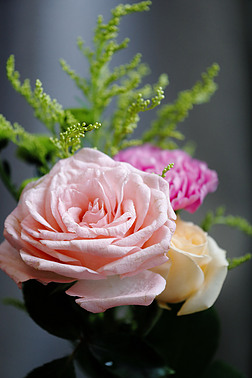 玫瑰花花束多彩漂亮美丽女人