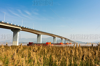 椒江大桥一桥与芦苇荡风景