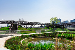 台州椒江大桥体育公园沙水绿洲绿道