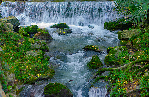 山涧溪流泉水叮咚绿荫照水图片