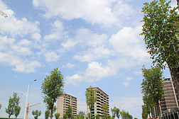 城市楼宇天空白云摄影