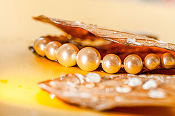 珍珠项链与带着露水的黄叶广告创意素材