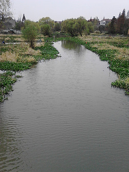 绿色小桥流水人家河边乡村自然风景