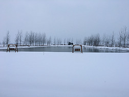 冬天一片白茫茫的雪景