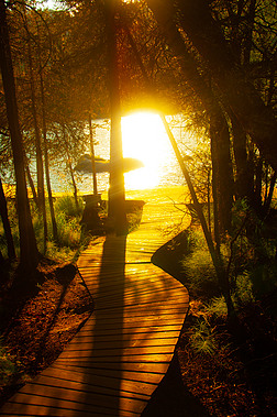 自然风光夕阳下的湖面和林间小路