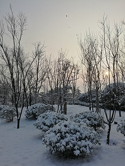 雪景6