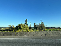 公路草原树木天空摄影图