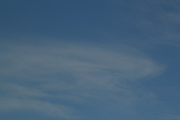 天空中的柳絮白云摄影