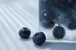 原创高清蓝莓静物水果特写背景素材摄影图