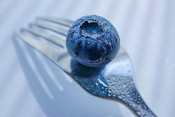 高清蓝莓静物水果特写背景素材摄影图