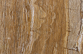 ɫʯWalnuttravertine