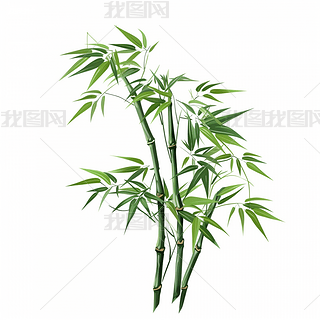 竹子发芽图片简笔画专题模板-竹子发芽图片简笔画图片素材下载-我图网