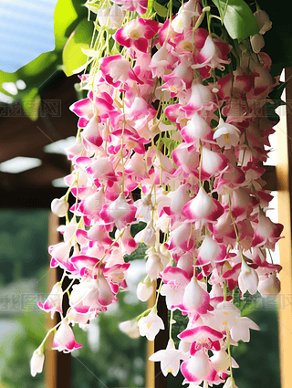 粉白色铃兰花风铃高清摄影图唯美