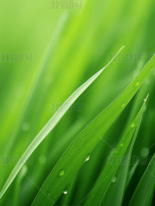 电脑卡通绿色护眼背景专题模板-电脑卡通绿色护眼背景图片素材下载-我