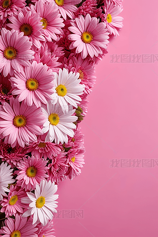 背景图片唯美高清花专题模板-背景图片唯美高清花图片素材下载-我图网