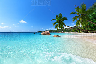 ˹ֵAnse Lazio̲