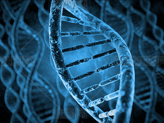 Dna ģ