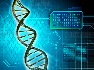 Dna 