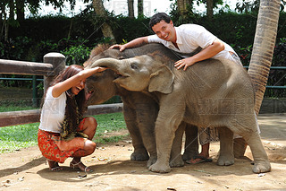 couple playing with baby elephants