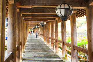 Spring spot in Nara at the ancient temple, 'Hasedera'