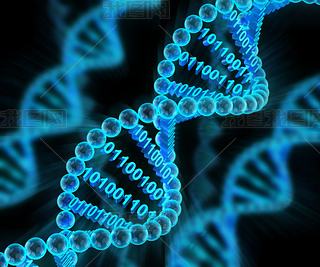 Dna ƴ룬3d Ⱦ