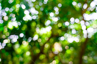 ʵȻɫģ bokeh .