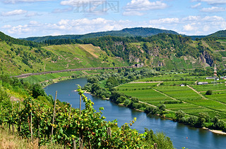 mosel ӵ¹