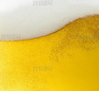 ơ beerfoam ơƱƽĭĭơƾƾơƲ pils