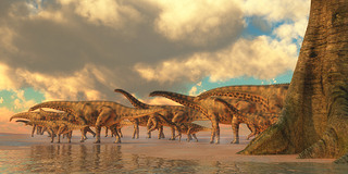 Spinophorosaurus ٪޼ʱڵĿ
