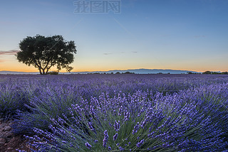 ޹²ݻ侰۸ Valensole