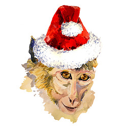 Monkey king portrait in a cool Christmas hat