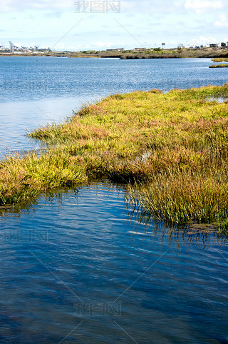 bolsa chica 