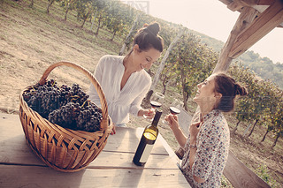 Two Cheerful Female Drinking Wine