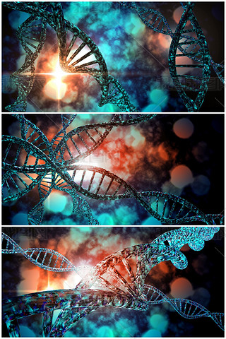 Dnaֽƴ